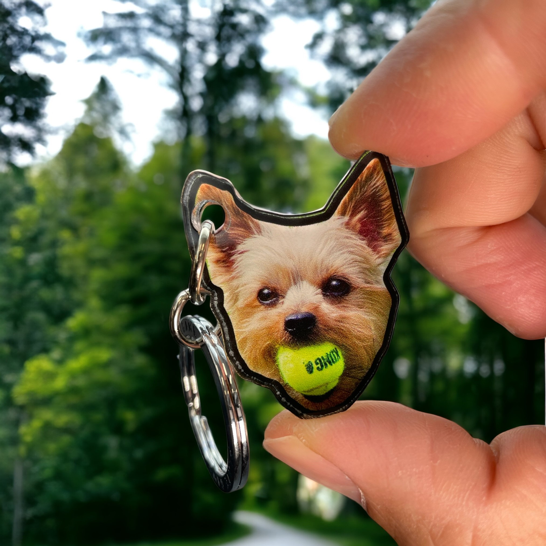 Pet Tags