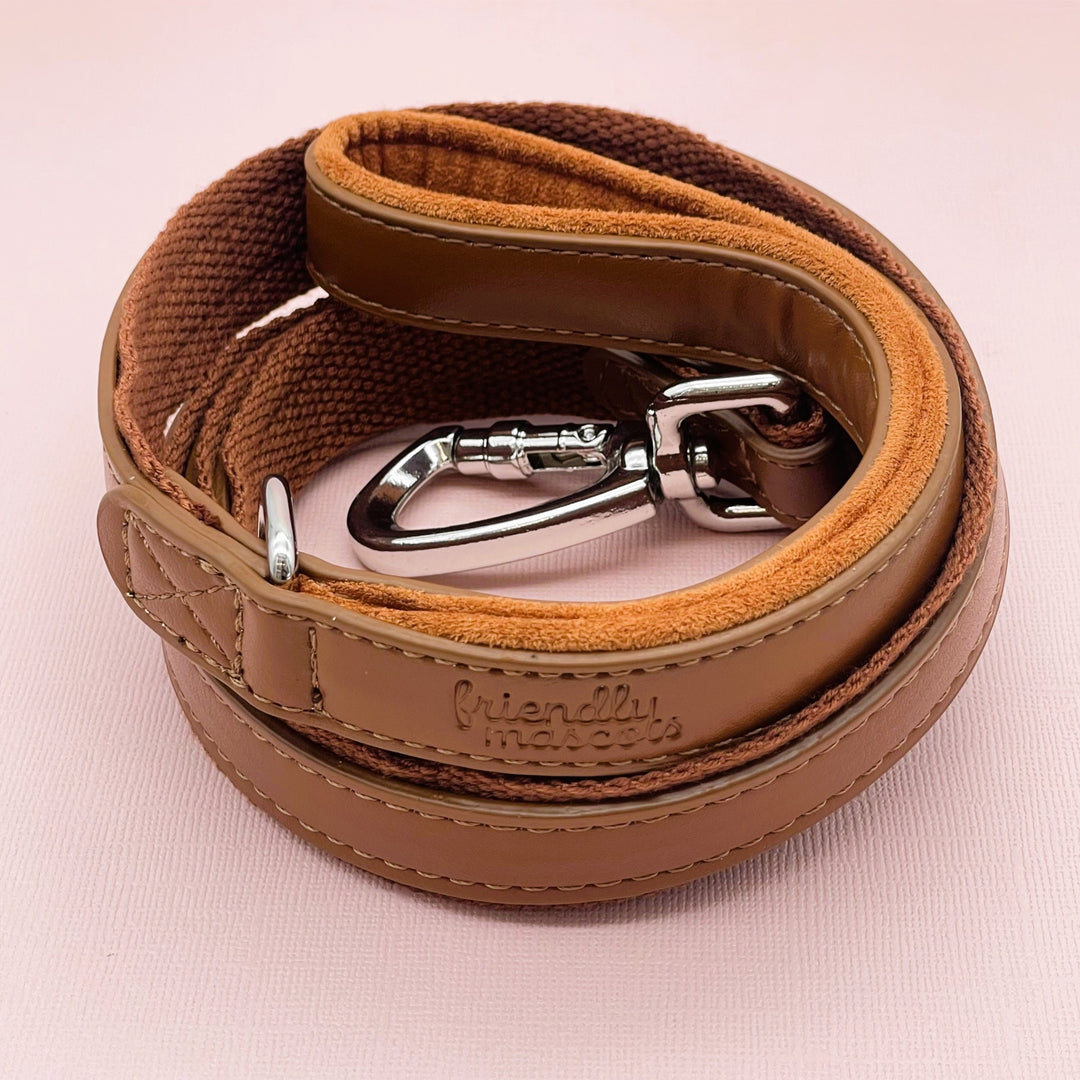 Dog Leads