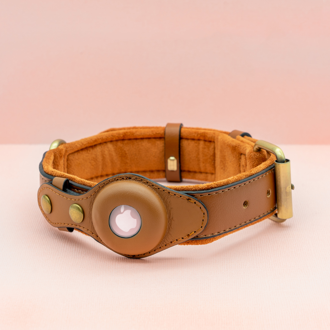 Air Tag Dog Collar