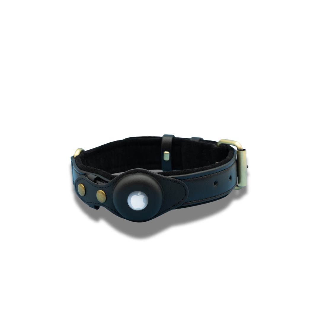 Our AirTag Collars