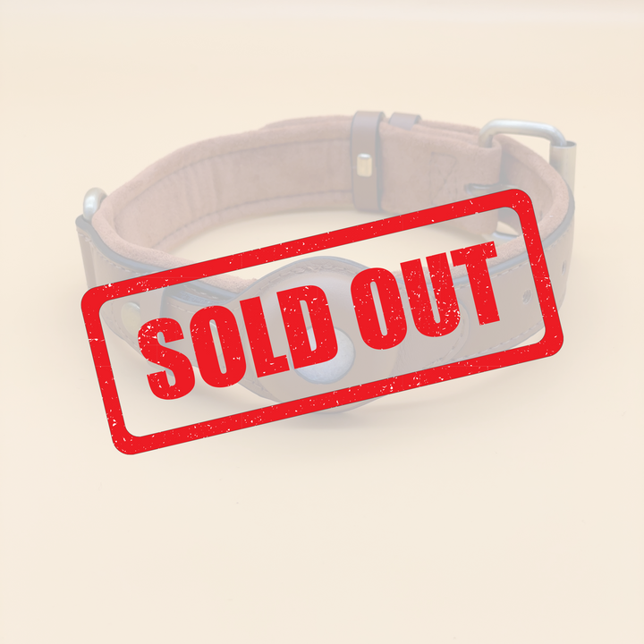 Standard AirTag Dog friendly collar