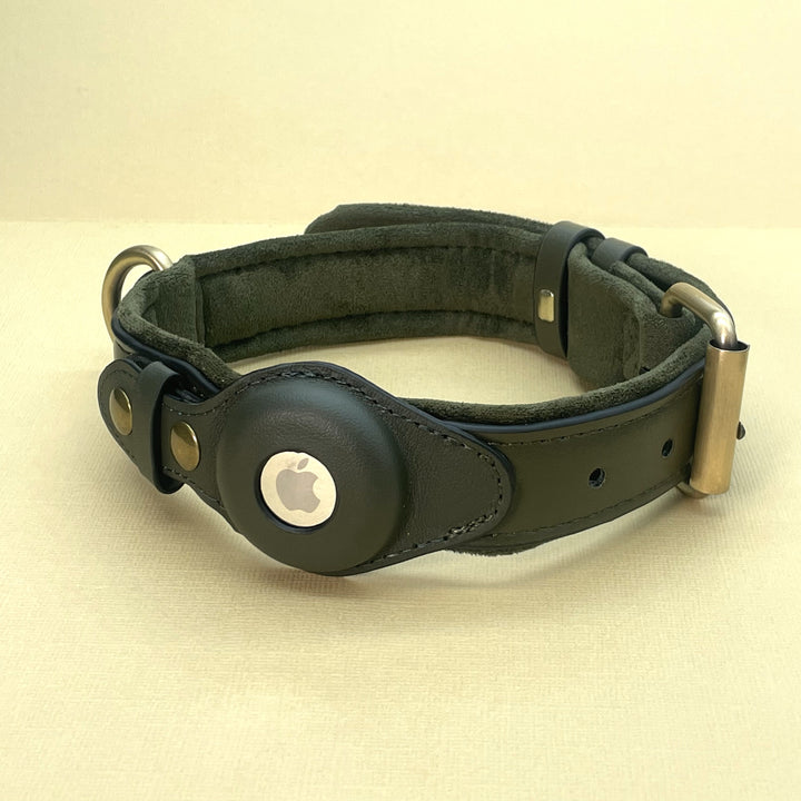 Premium AirTag Dog friendly collar