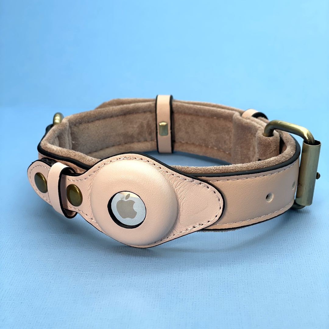 Premium AirTag Dog friendly collar