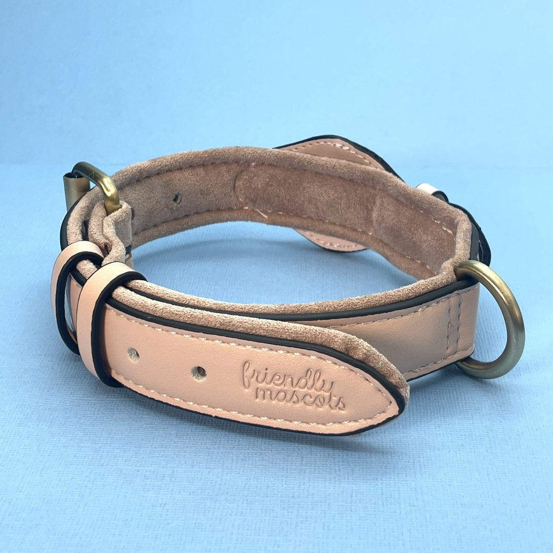 Premium AirTag Dog friendly collar