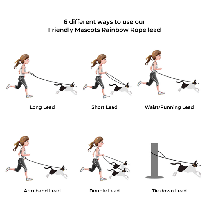 Friendly Mascots Rainbow Rope Lead 230cm