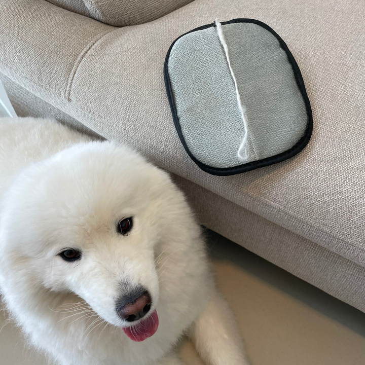 FurZap — Reusable Pet Hair & Lint Removal Glove (Dog, Cat, Clothes & Couch)