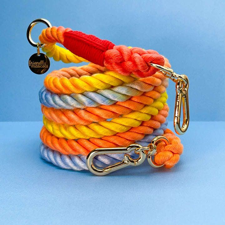 Friendly Mascots Rainbow Rope Lead 230cm