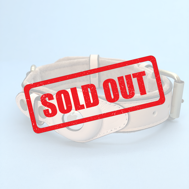 Premium AirTag Dog friendly collar