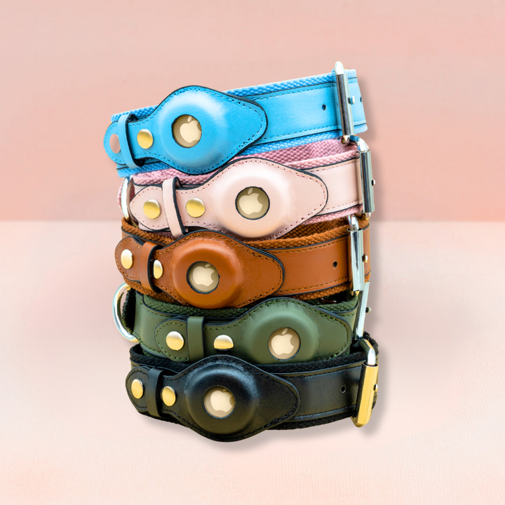 Standard AirTag Dog friendly collar