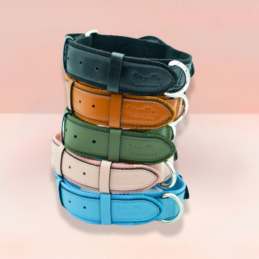 Standard AirTag Dog friendly collar