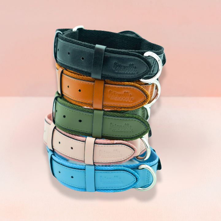 Standard AirTag Dog friendly collar