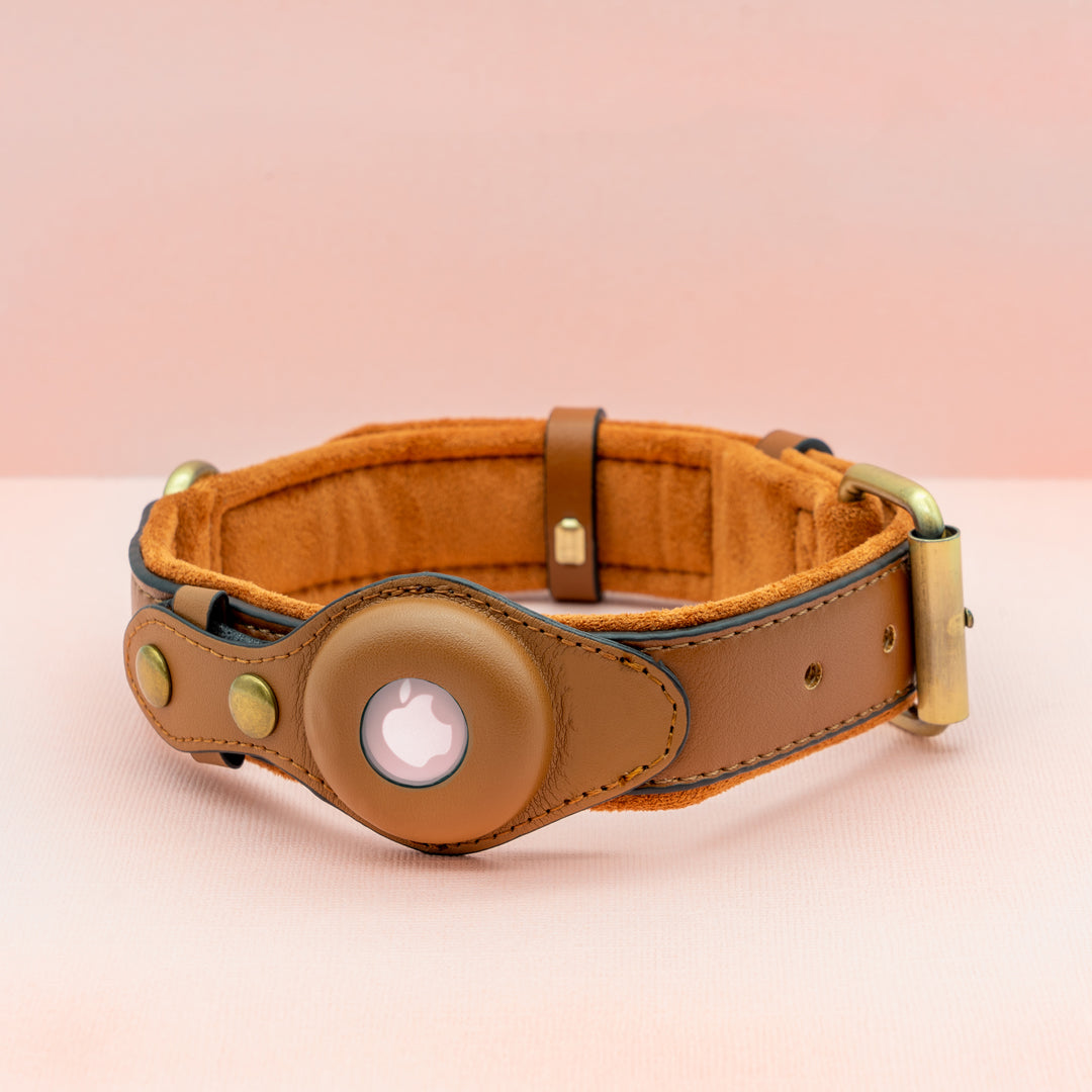 Premium AirTag Dog friendly collar