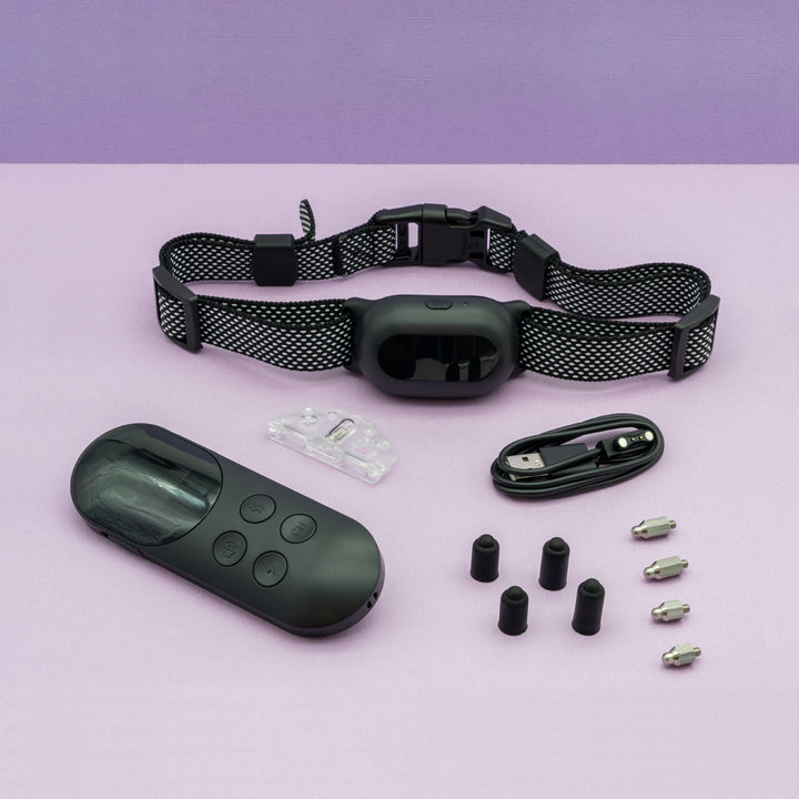 PT200 Premium Waterproof Remote Dog Trainer