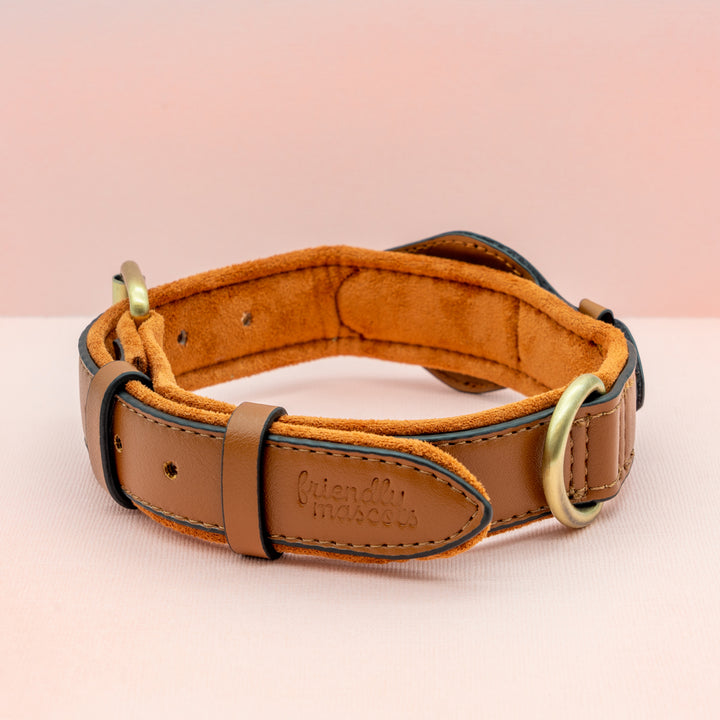 Premium AirTag Dog friendly collar