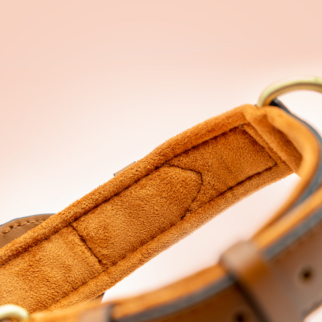 Premium AirTag Dog friendly collar