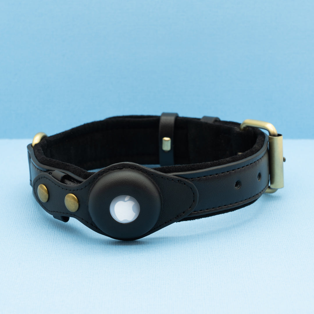 Premium AirTag Dog friendly collar