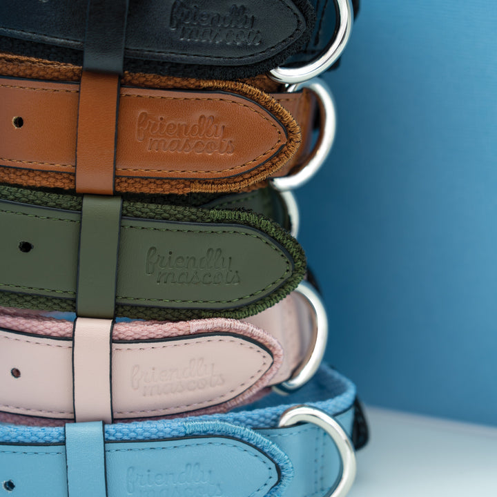 Standard AirTag Dog friendly collar