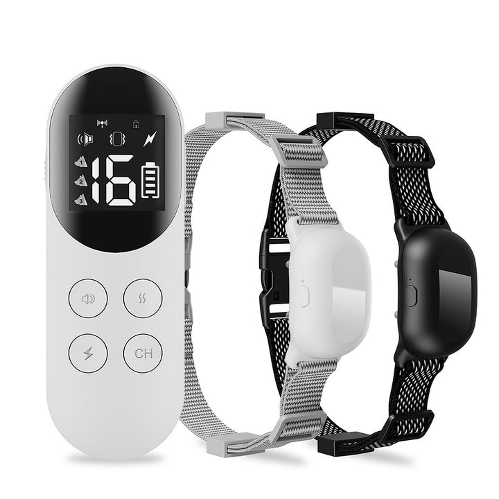 PT200 Premium Waterproof Remote Dog Trainer